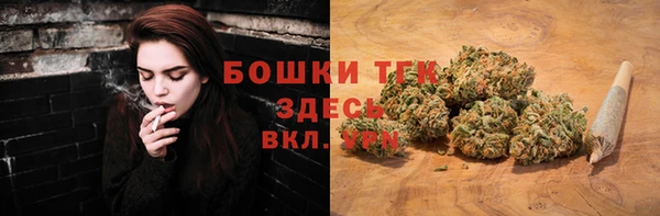 СК Няндома