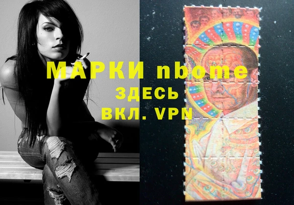 индика Болотное
