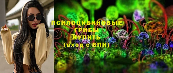 СК Няндома