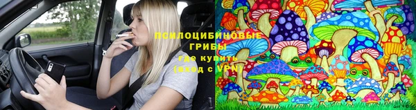СК Няндома
